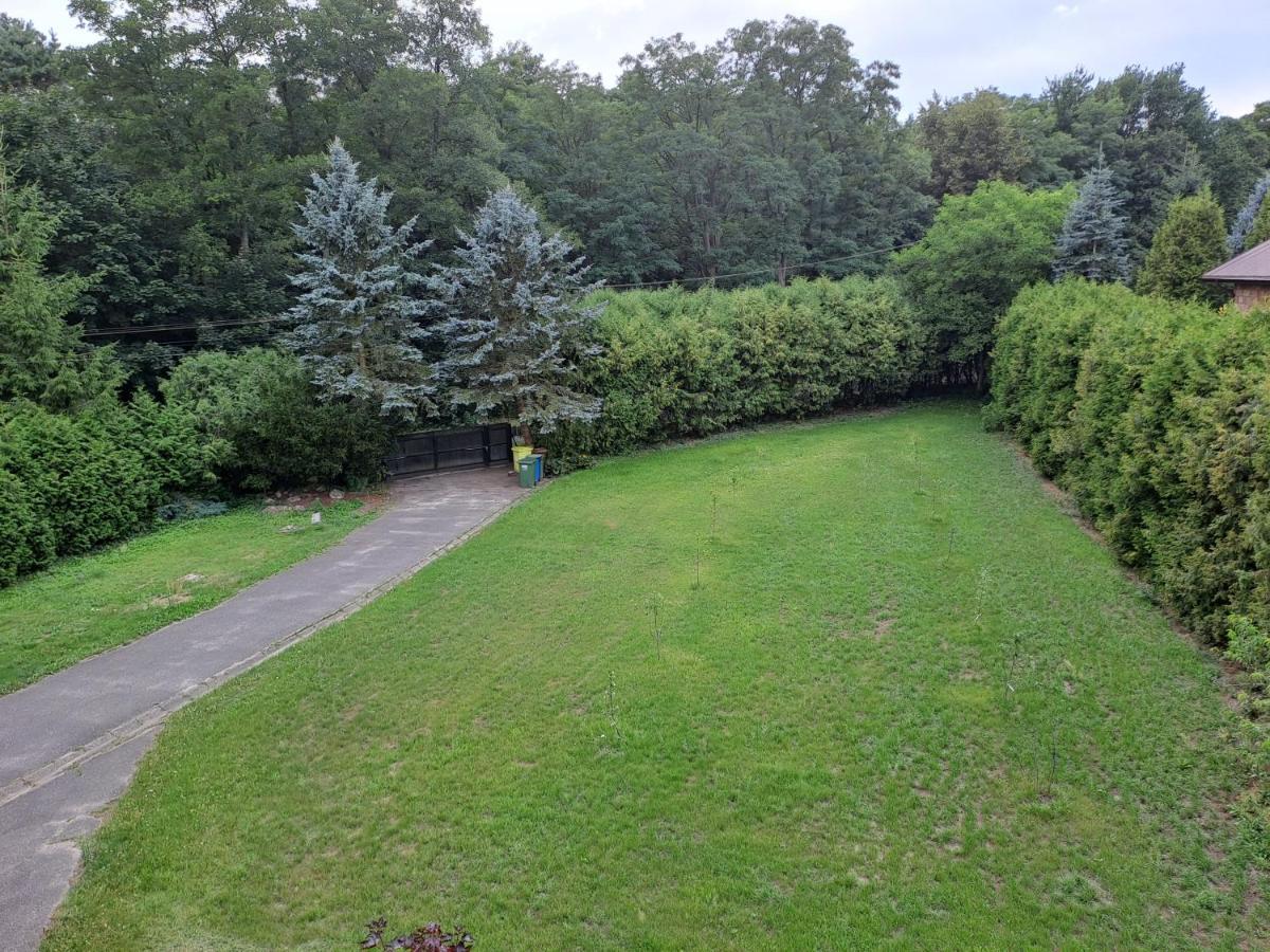 Kasztanowa Skierniewice